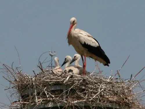 Les 2 Granges D'hotes Bed and Breakfast