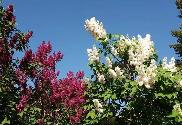 Les 2 Granges D'hotes Bed and Breakfast Bérig-Vintrange